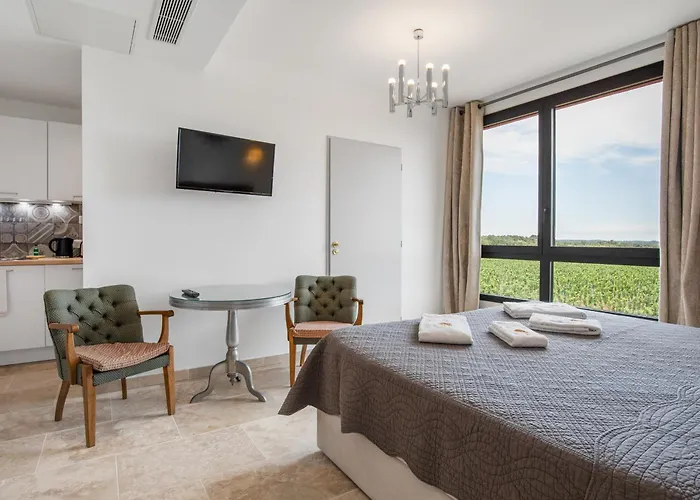 Chateau Hermitage De Combas Lägenhetshotell Servian